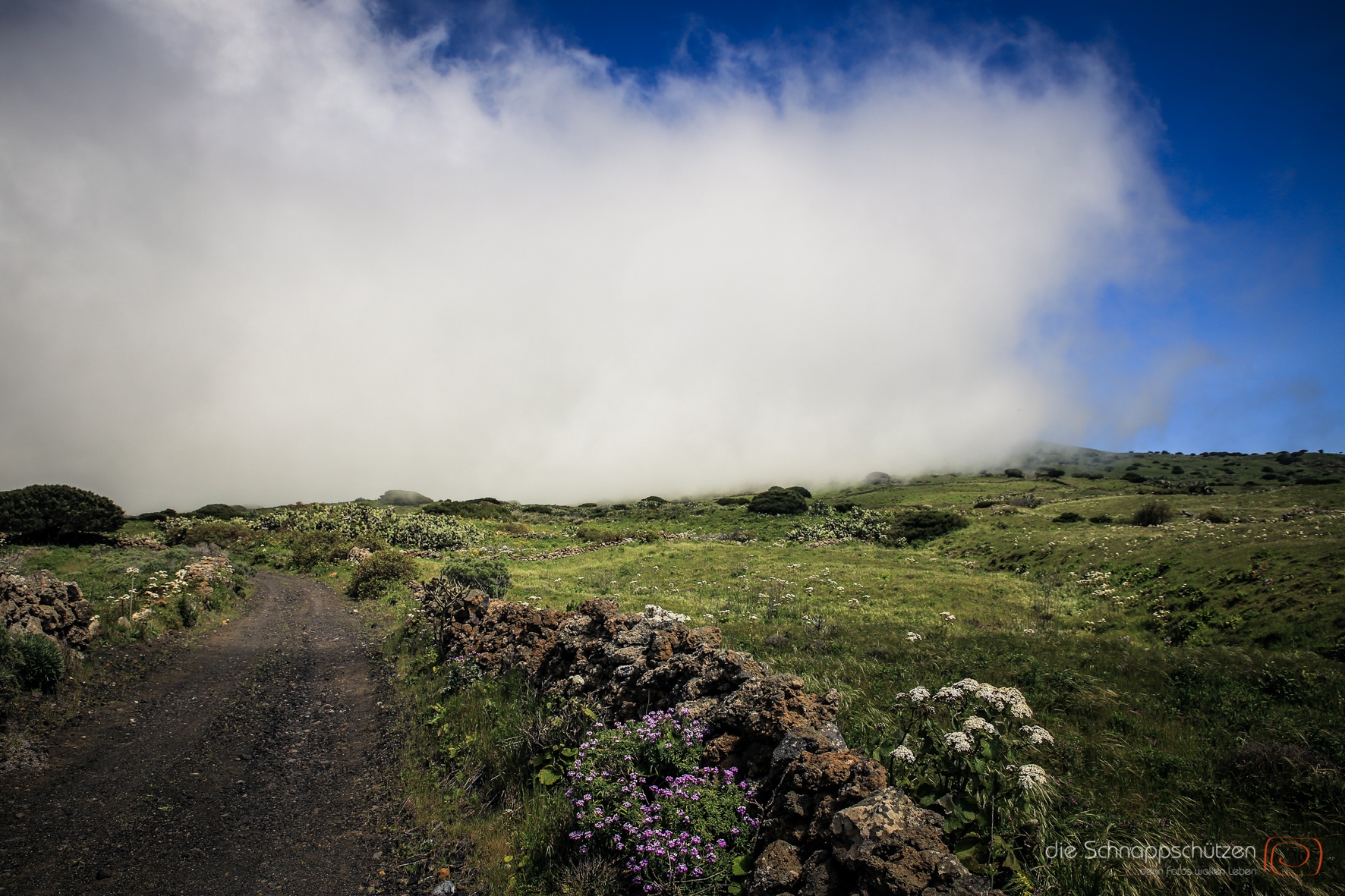 Hochebene auf El Hierro