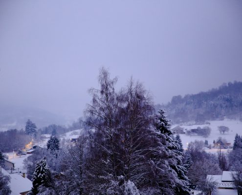 Vogesen im Winter