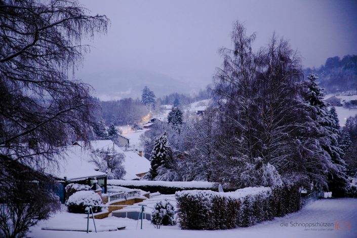 Vogesen im Winter