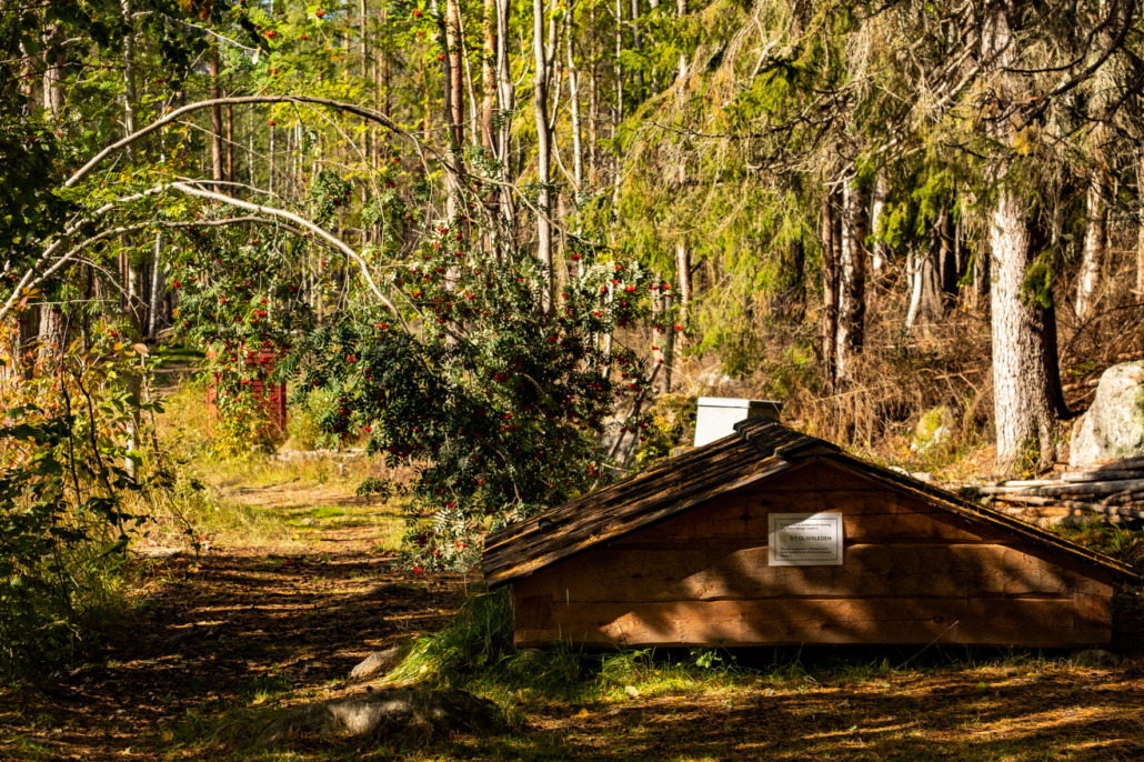 6. Etappe Hussborg-Borgsjö, Olavsquelle